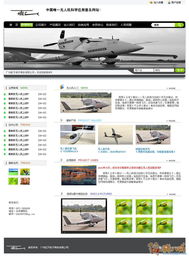 未來(lái)之翼 無(wú)人機(jī)網(wǎng)站頁(yè)面設(shè)計(jì)與開發(fā)征集方案
